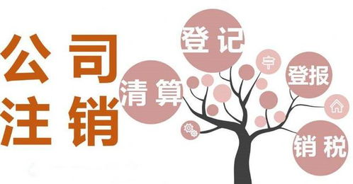 成都网络文化经营许可证代办 个体户注册办理